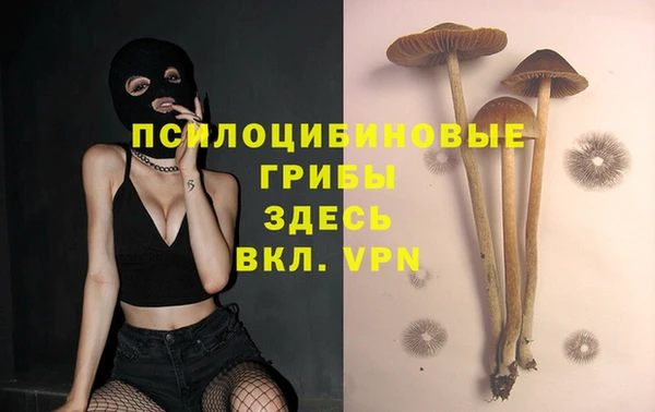 ешки Алексеевка