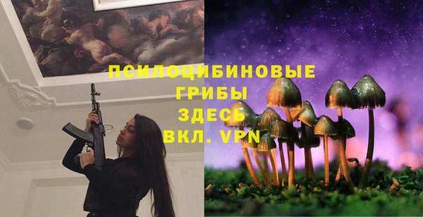 ешки Алексеевка
