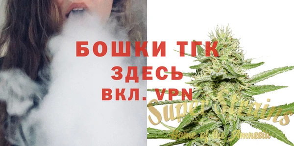 ешки Алексеевка