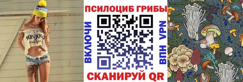 где можно купить   ссылка на мегу сайт  Псилоцибиновые грибы мухоморы  Советская Гавань 