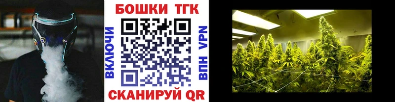 Бошки марихуана сатива  Советская Гавань 